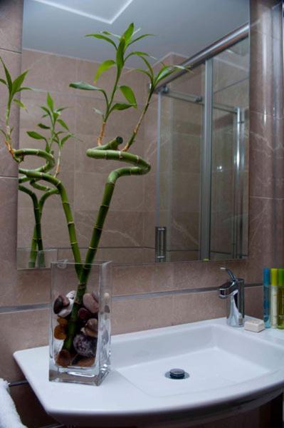 Hotel San Sebastian Hospederia Cieza Εξωτερικό φωτογραφία